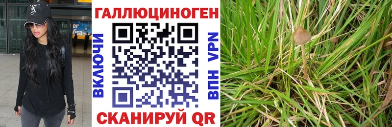 Галлюциногенные грибы ЛСД  Брюховецкая 